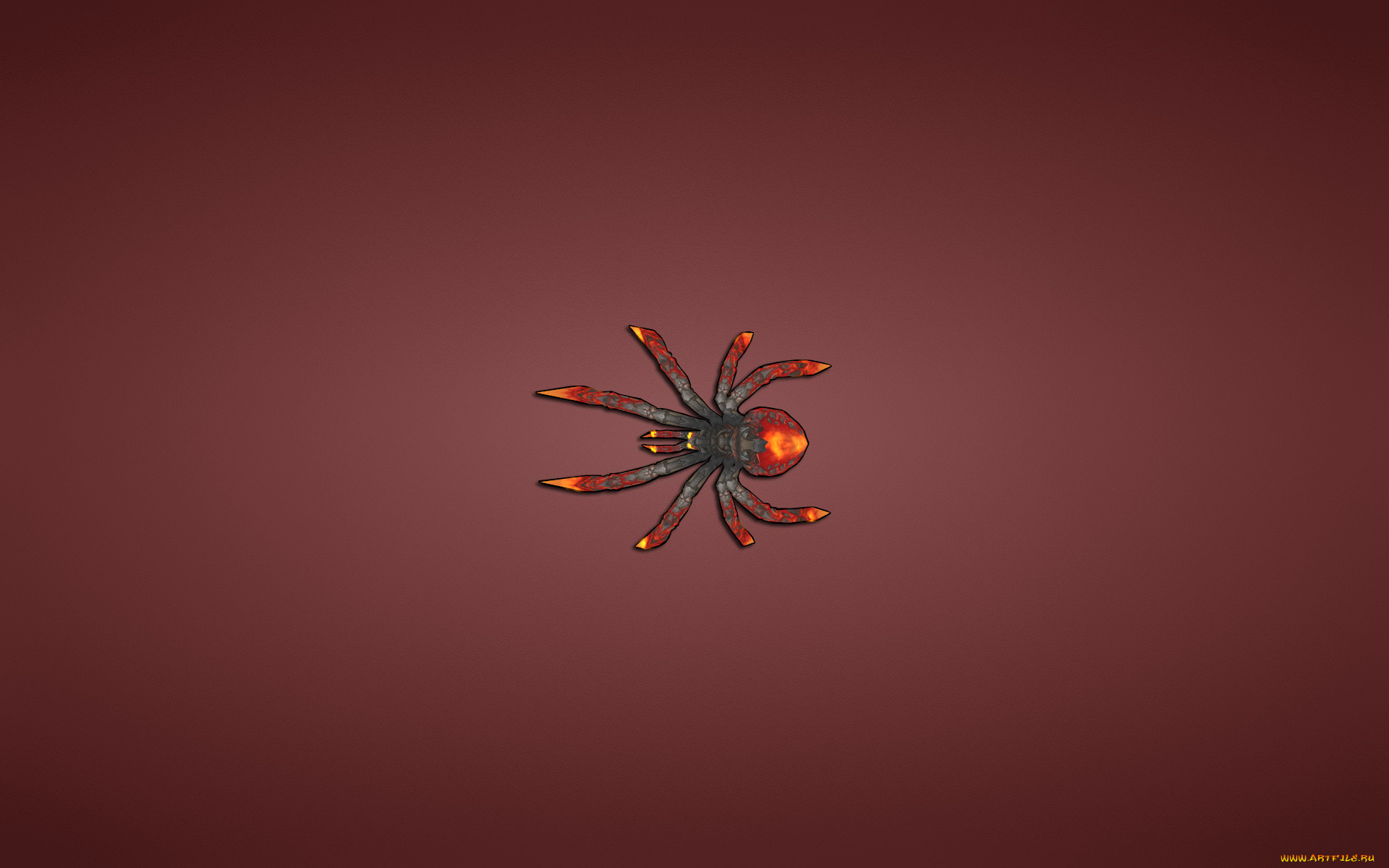 , , , spider, 